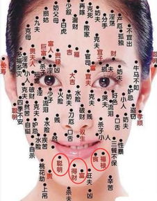 三、 实战技巧 & 随机建议（乱七八糟混搭）