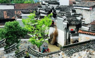 小河村：资金难题下的古村复兴