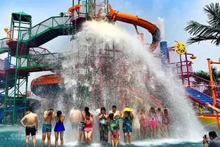 自驾还是跟团？这是个问题