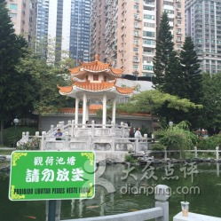 氹仔区的清吧文化， 其实很有意思