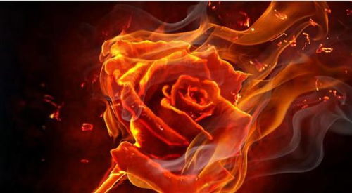 八字大的人算命时，女性八字算命软件下载需要特别注意吗？