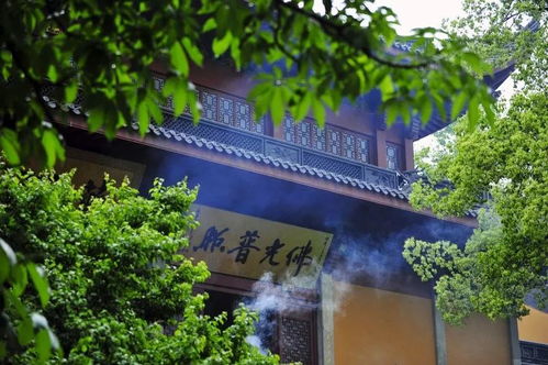 寻觅美食：灵隐寺周边的饕餮之旅