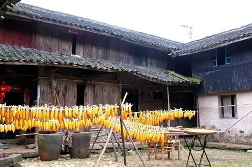 那些沉默的石头会说话