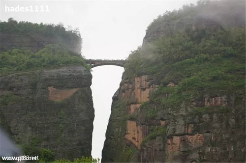 惯与那个115元的怨念