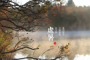 处暑秋韵，风俗盛行，秋意渐浓爆款来袭！