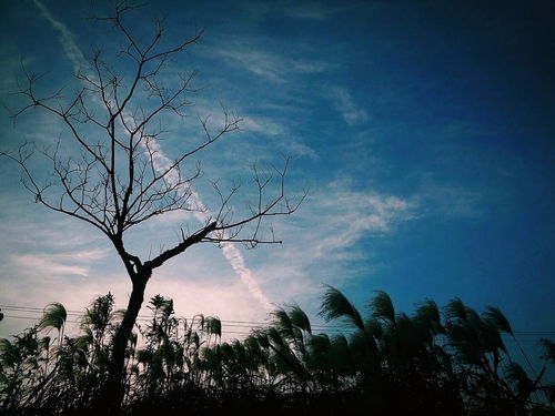 星座与灵异的碰撞