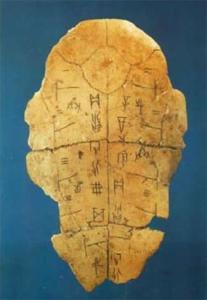 龟甲占卜中，这个数字代表吉凶，具体是哪一卦象呢？