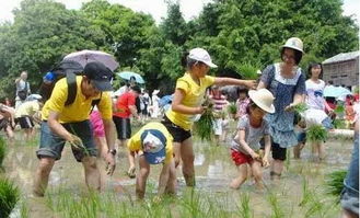春暖花开，踏青正当时？不存在的！