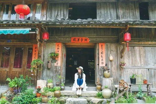 交通运输指南