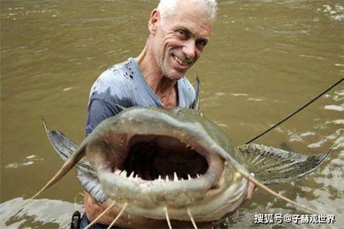 第一章：优良奇的夜晚与生肖马的宿命