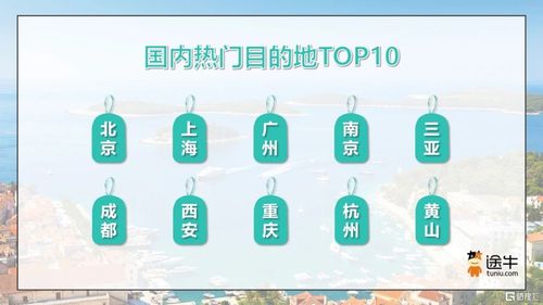 六、 痛点解析——同质化与服务不到位仍是不容简单题