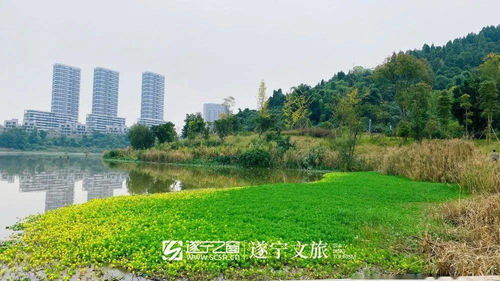两千年前的水脉，至今仍在呼吸