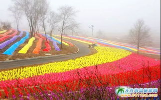 5、 吃喝狂欢——从霸州烧鸡到豆腐皮，一口气吃遍全城