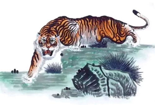 双龙配：相爱相杀的爱情故事