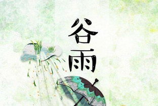 河南谷雨习俗，传统节气风情爆款来袭！