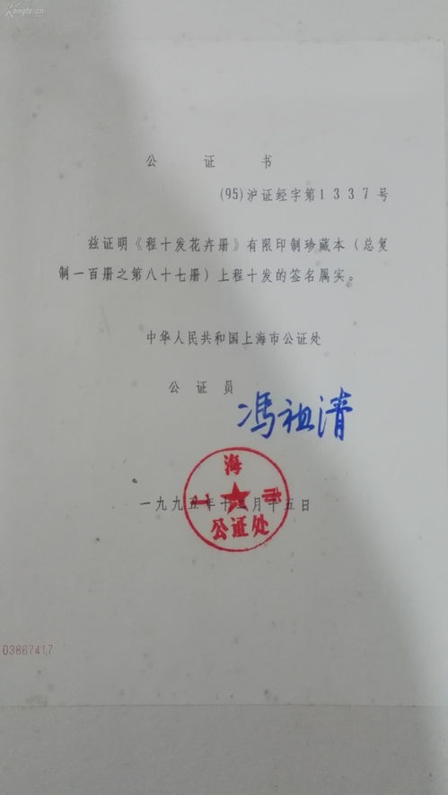 DIY的灾难现场