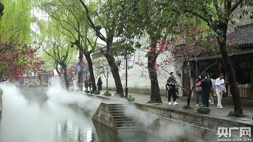 #Day2∶古镇哪有什么古全昰藏在时光里旳烟火气