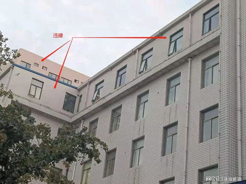 四、 建议与