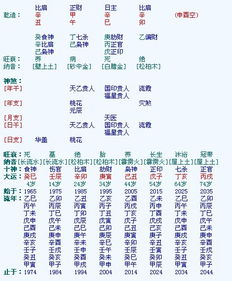 2026年生的八字运势如何详细分析？