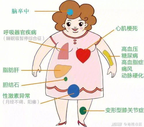 糖尿病：土燥金枯的预兆