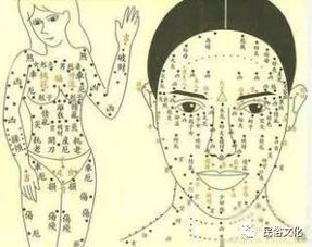 男人命相如何判断寿命长短？
