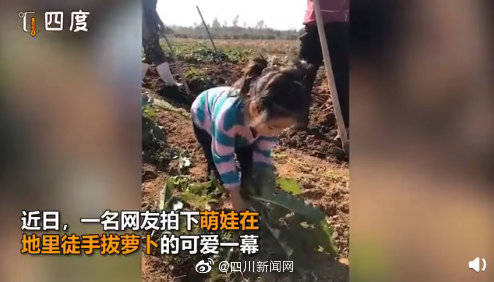 四、 骨骼与星象的纠缠