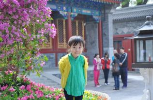 为啥七月亲子游总让人纠结？