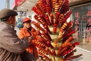 - 糖葫芦革命（红彤彤的幸福）

