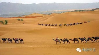 沙坡头：人比沙子还多！