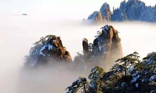 亲子研学——带孩子去发觉世界