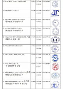 口碑的关键性：真实用户反馈