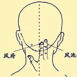 地主抢占风水宝穴,地主抢占风水宝穴