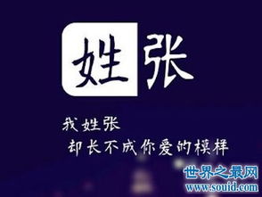 温文尔雅型