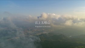 七、随机对话式段落（破坏结构）