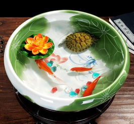乌龟养几只风水好,家里嫩养乌龟吗对风水有影响吗