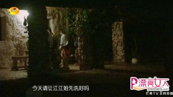 古墓的暗地：八卦阵里的迷途羔羊