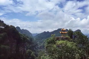 路线四：密林深处的氧吧——原始森林徒步
