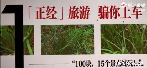 专业的事交给专业的神经病