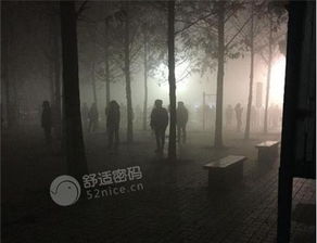 字字催命，谁敢深厚夜细读？