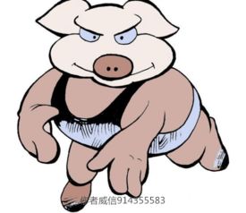 这破名字跟属猪的配不配？