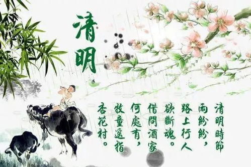 记忆碎片：那些被遗忘的故事