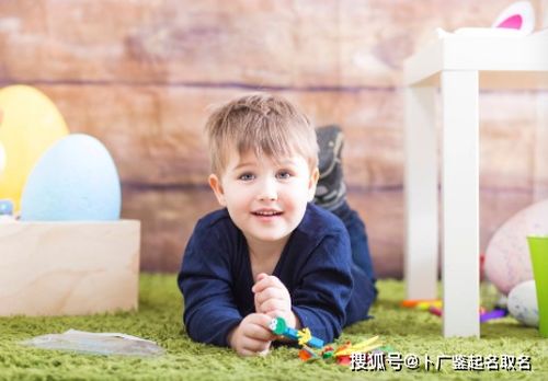 男孩起名：洋气内涵，风度翩翩