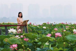 2. 四季花海：一年四季的美景轮回