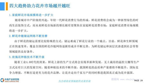 第二章：人格——主导与核心