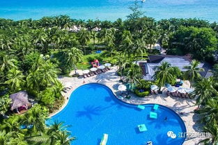 美食探秘：舌尖上的海南岛