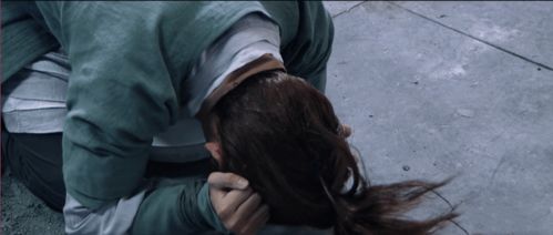 镜中的倒影：八卦阵与十二生肖