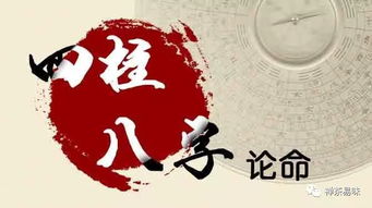 中医与八字命理之间究竟有何内在联系？