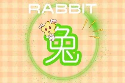 2026年生肖兔6月运势和全年每月运势具体内容是什么？