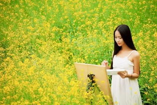 郑州：花海与美女的交织