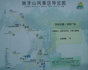 那些堪似靠谱实则没用的团队建议